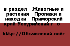  в раздел : Животные и растения » Пропажи и находки . Приморский край,Уссурийский г. о. 